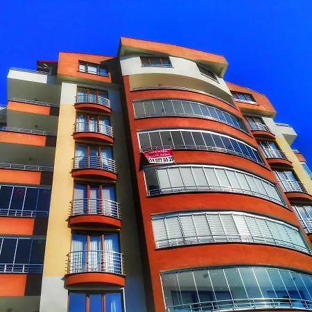 Alya * Trabzon