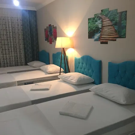 Apartment Alya *