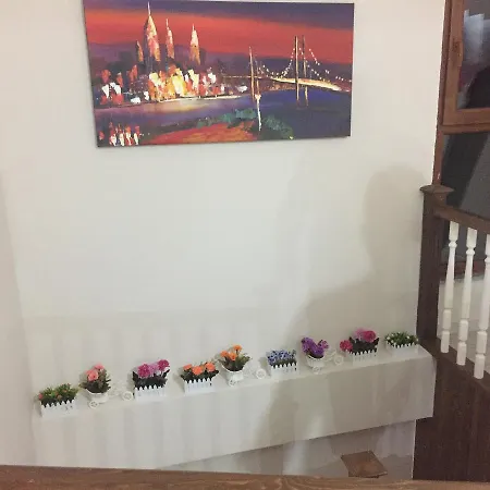 Apartment Alya